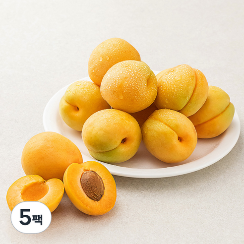 새벽경매 하우스 살구, 500g(6~9입), 5팩
