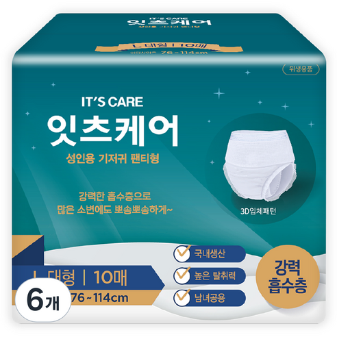 잇츠케어 남녀공용 성인기저귀 팬티형, 대형, 6개, 10개입
