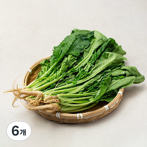 국내산 열무, 900g, 6개