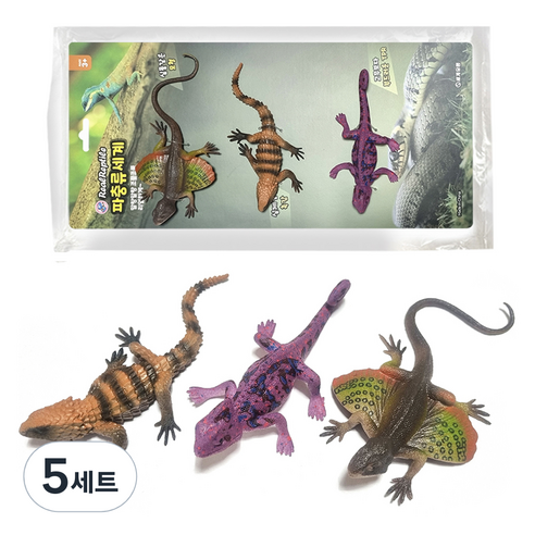 세계유통 파충류세계 큐티 도마뱀 3종 A세트, 5세트