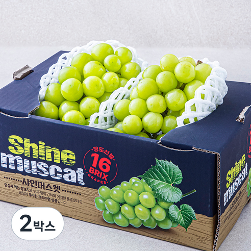 수플린 당도선별 아삭아삭 샤인머스켓, 1.5kg(2~3수), 2박스
