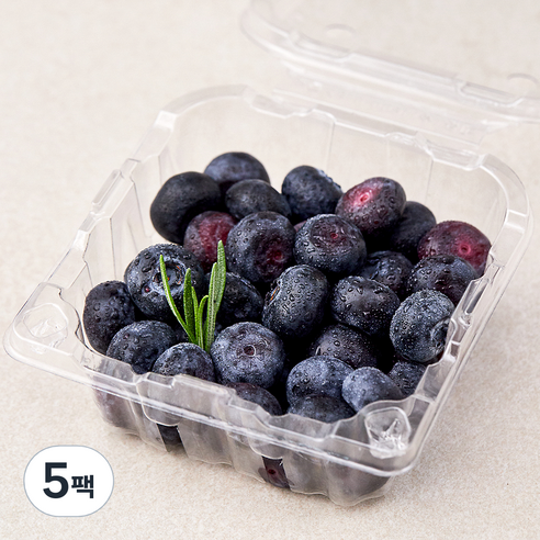 곰곰 친환경 블루베리, 100g, 5팩