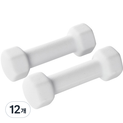 앳플리 LW 미용 아령, 1kg, 12개
