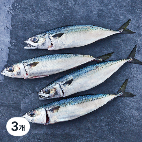 부산 간고등어 2손 해동 (냉장), 3개, 600g(중)