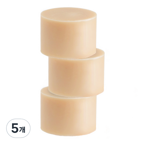 리앤에코 주방 설거지 워싱바 3p, 450g, 5개