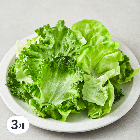 친환경 유러피안 모둠 샐러드용 채소, 3개, 1개입