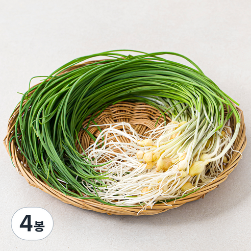 곰곰 서산 달래, 100g, 4봉