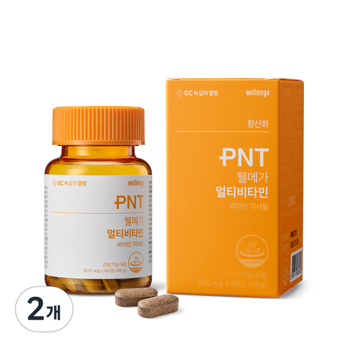 GC녹십자웰빙 PNT 웰메가 멀티비타민 48g, 2개, 60정, 60정