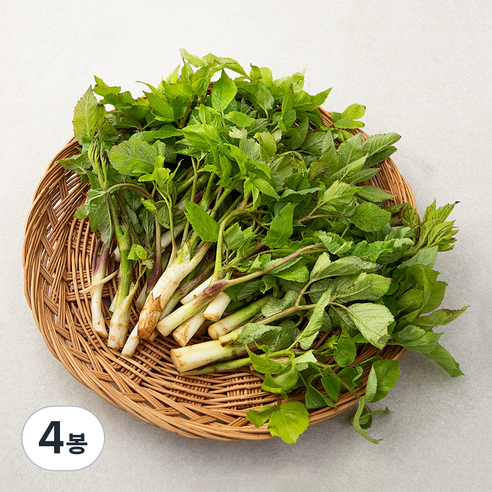 국내산 땅두릅, 200g, 4봉