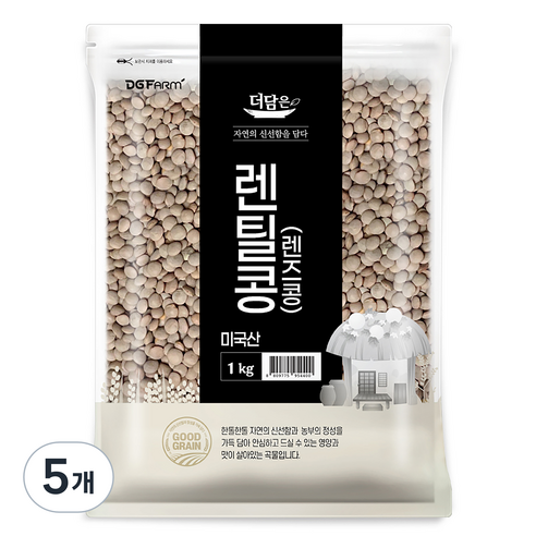 더담은 미국산 렌틸콩 렌즈콩, 1kg, 5개
