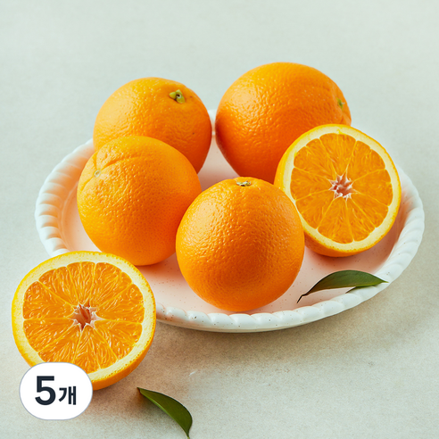 더네이처 호주산 오렌지, 5개, 1kg