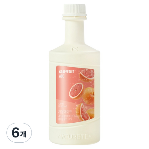 네이쳐티 자몽에이드 베이스, 1.2kg, 6개