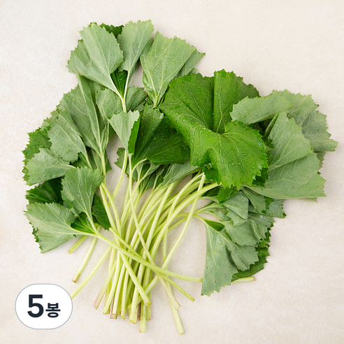 남해 머위, 150g, 5봉