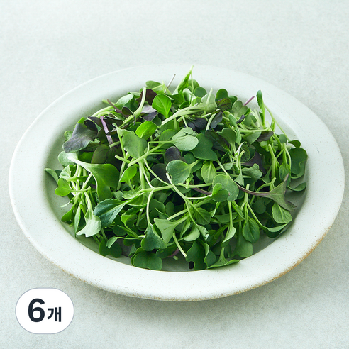 유기농 베이비채소, 6개, 100g