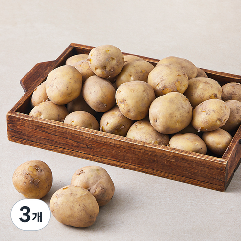국내산 감자(햇), 5kg, 3개
