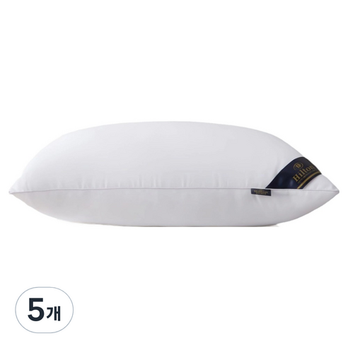 비투윈 편안한 베개솜 800g, 화이트, 5개