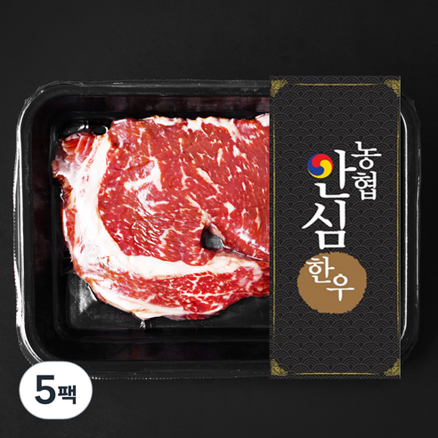농협안심한우 숙성육 등심 2등급 구이용 (냉장), 200g, 5팩
