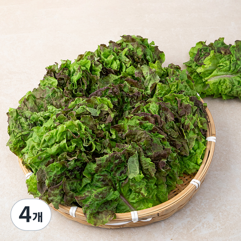 적상추 국내산, 1kg, 4개