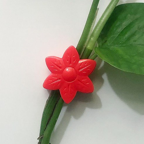폴라 식물 고정 클립 레드, 10개