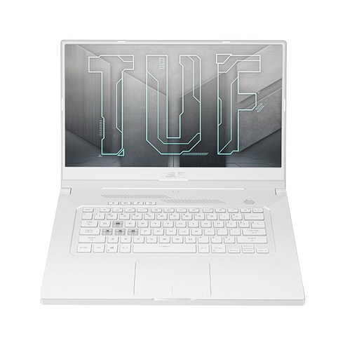 에이수스 2021 TUF Gaming 15.6, 코어i7 11세대, 8GB, WIN10 Home