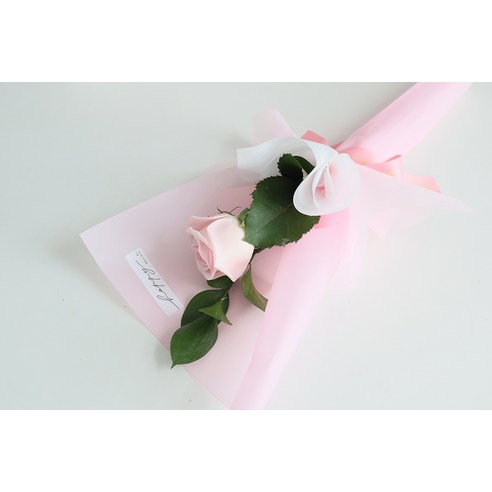 생생한 매력의 선사, 모리앤의 부담없는 꽃다발