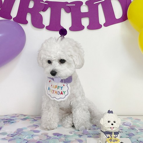 강아지 고양이 생일 축하 기념 스카프 + 모자 세트, 퍼플, 1세트