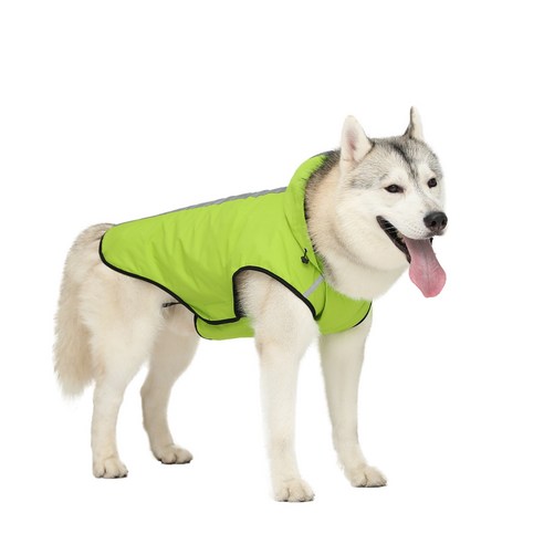 프랑온드 강아지 기능성 비옷, 녹색