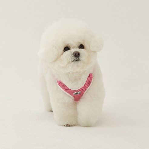 강아지 크레용 에어핏 하네스, 핑크, 1개