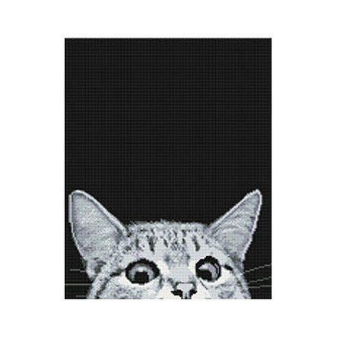 코쿼드 DIY 액자형 보석십자수 세트 40 x 50 cm, 호기심 냥이 블랙(DP449), 1세트
