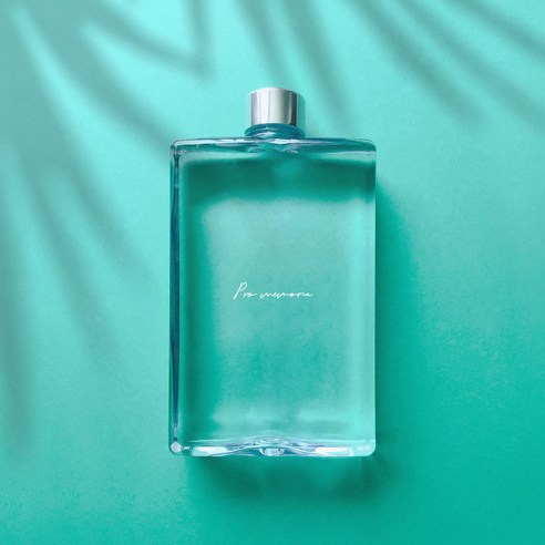 슬림 사각보틀, 29 Pro memoria(투명), 500ml, 1개