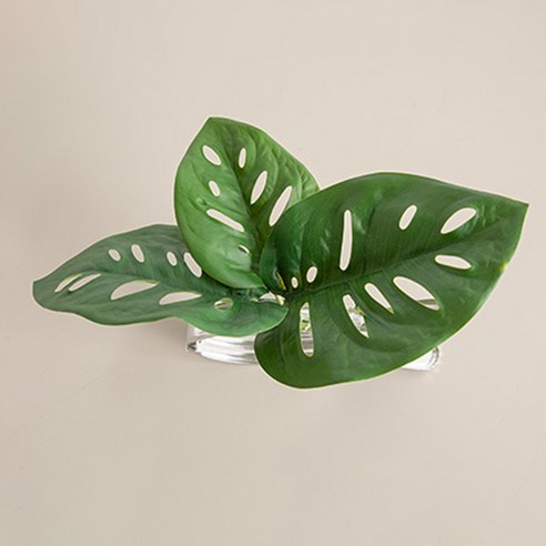 열대잎 커튼집게 25cm, 프리몬스, 1개