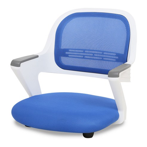 체어포커스 알라딘 좌식의자 AL-D250 WH, 화이트(바디), 메쉬(블루)