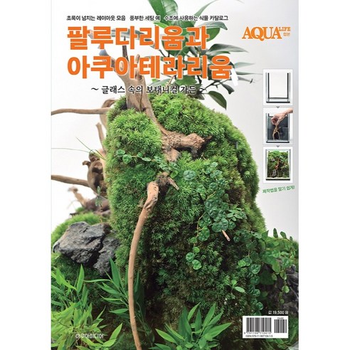 나만의 작은 정원, 팔루다리움과 아쿠아테라리움: 삭막한 일상에 싱그러움을 더하는 방법 팔루다리움