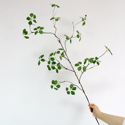 앙플랜트 조화 엔카이셔스 으름나무, L(120cm), 1개