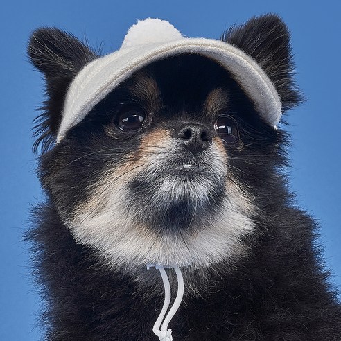 Content Image 2