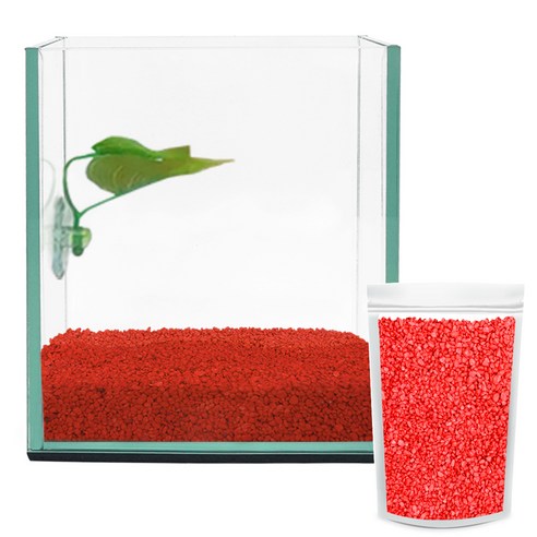 아쿠아테라 베타 유리어항 + 베타침대 + 컬러스톤 1kg CH-G150, 빨강색(컬러스톤), 1개