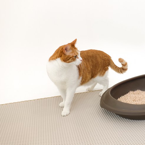 디토펫 고양이 화장실 벌집구조 모래매트