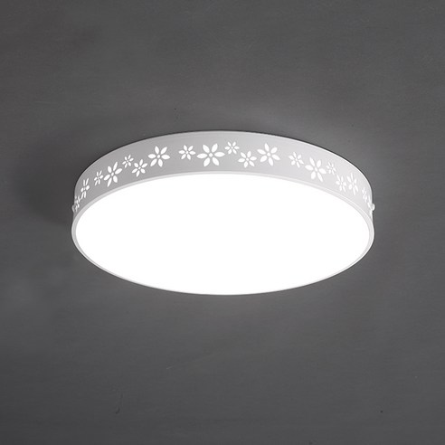 샤미즈 LED 프리미엄 원형 방등 봄꽃 50W, 화이트