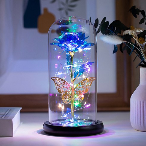 히즈플랜 LED 장미 무드등, D타입