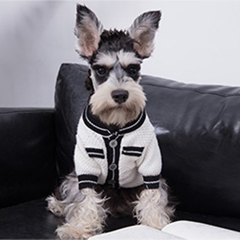 강아지 앤 고양이 니트 가디건, 화이트, 1개