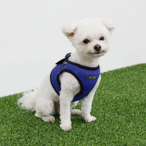 RealPet 프리세이프 강아지 조끼 하네스, 로얄블루