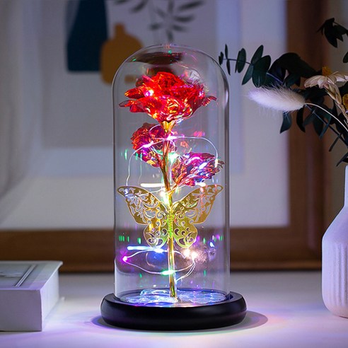 히즈플랜 LED 장미 무드등, B타입