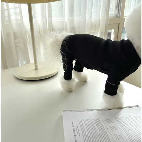 매그독 강아지 스티브 골지 올인원, 블랙, M, 1개