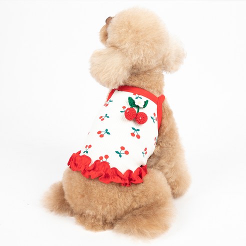 伴侶  寵物用品  小狗  貓  聯合使用  服裝  狗  狗  狗  狗