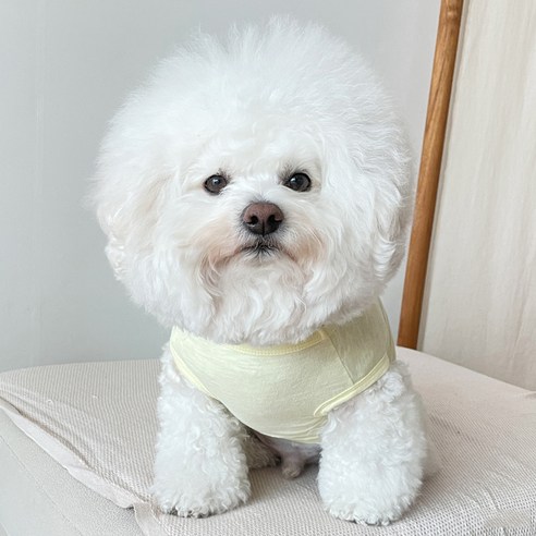 바이담수미 강아지 가지 슬럽 나시, 옐로우