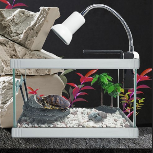 烏龜 龜糧 龜缸 龜舍 石頭 插座 水族箱 水草 魚缸石 魚缸