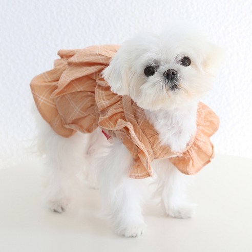 狗衣服 狗衣服 狗春裝 狗秋裝 狗夏裝 狗衣服 狗帕西 狗花邊衣服 狗衣服 狗比賽