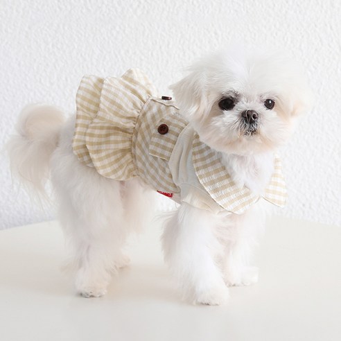 伴侶  寵物用品  小狗  貓  聯合使用  服裝  狗  狗  狗  狗