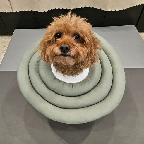 MAAH 강아지 넥카라 대형, 1개, 카키그린