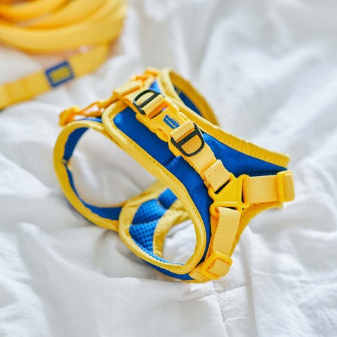 사랑하는 반려견과의 편안한 산책